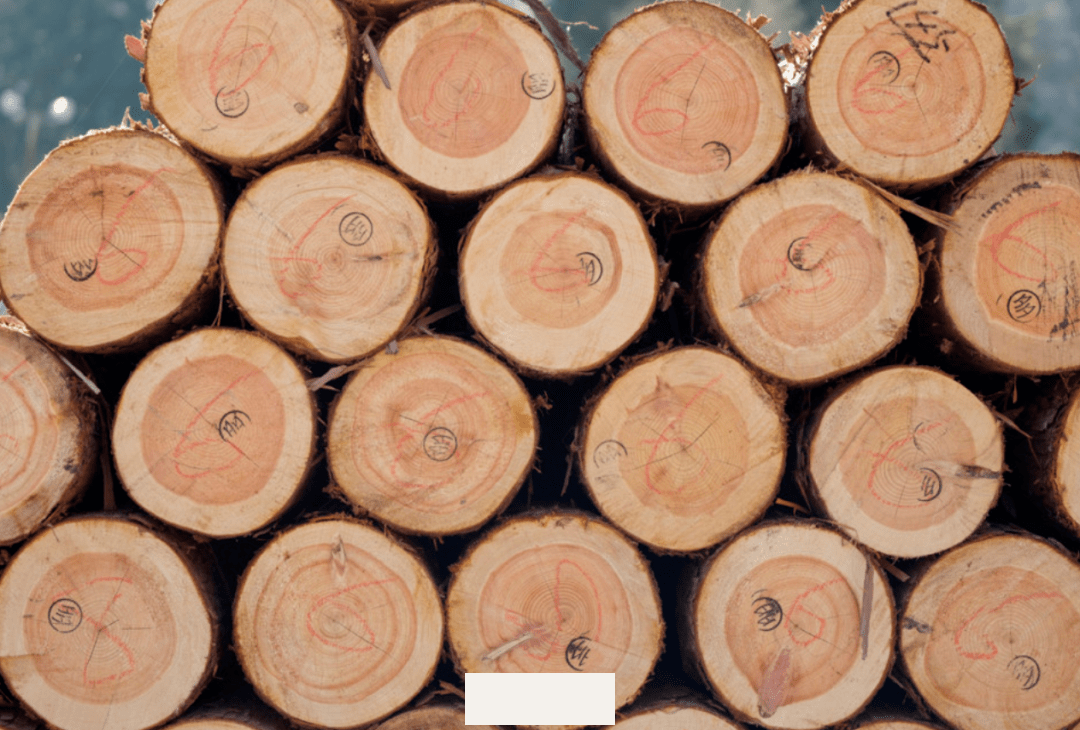 谁撩动了中国木材行业创新发展的神经